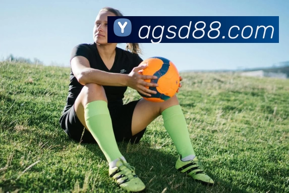 色碟官网全站App